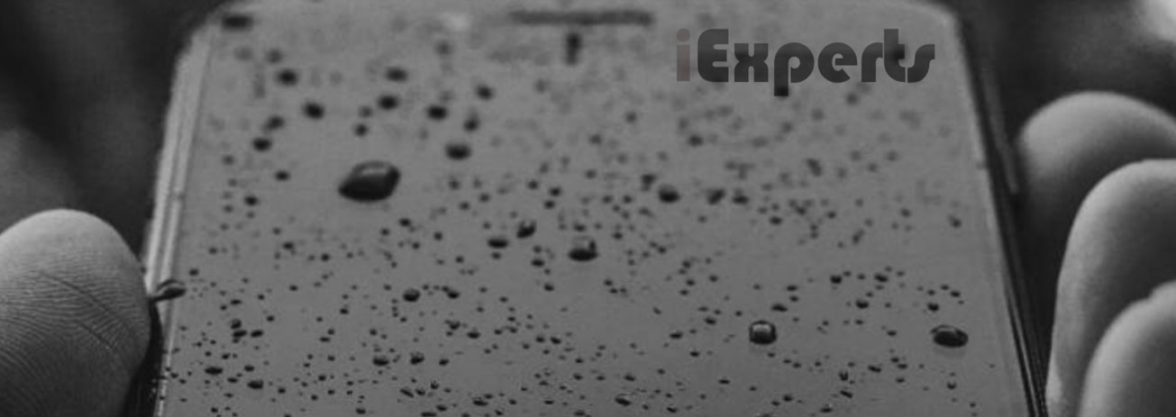 Celular Molhou iExperts